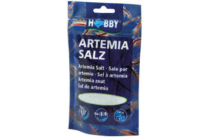 Artemia Salz