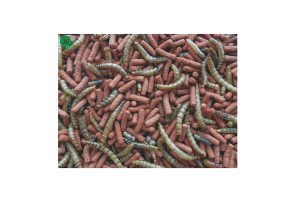 Tropifit - Atelerix, Igel 700 g – Bild 2