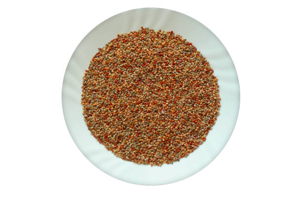 Avicentra Classic exotic bird - Exotenfutter 20 kg – Bild 2