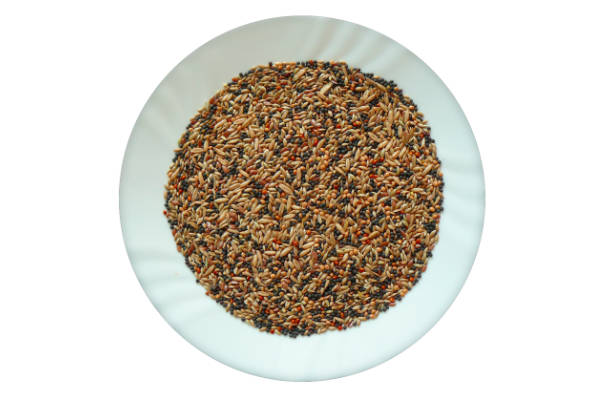 Avicentra Classic Kanariefutter 5 kg – Bild 2