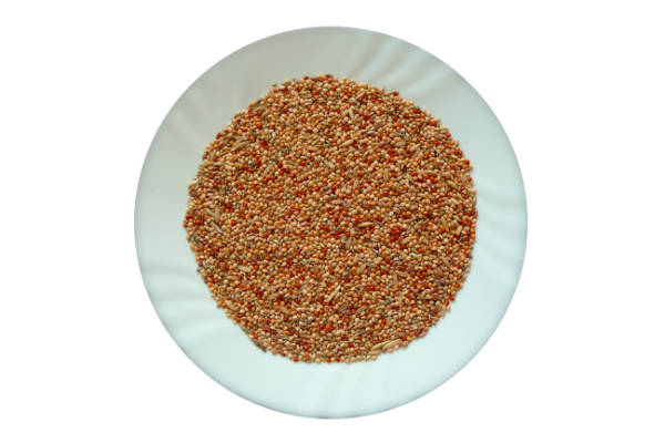 Avicentra Classic Budgie - Wellensittichfutter 20 kg – Bild 2