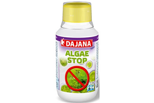 Dajana Algae Stop 500 ml - Algenmittel