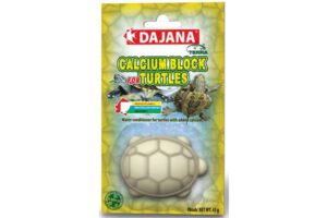 Dajana Calcium Block for Turtles