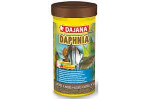 Dajana Daphnia 250 ml