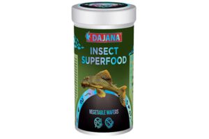 Dajana Insect Superfood Vegetable Wafers