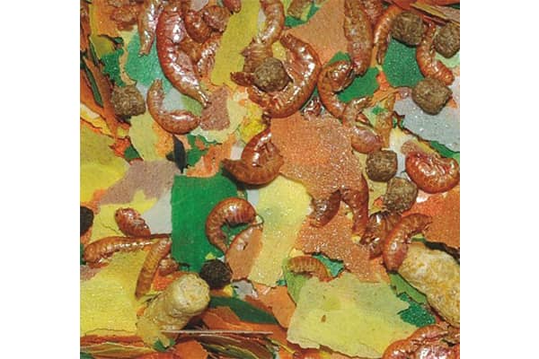 Dajana Pond KOI Mix  1000 ml – Bild 2