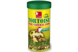Dajana Tortoise natural 250ml