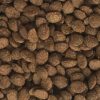 Dajana Turtle Chips – Bild 2