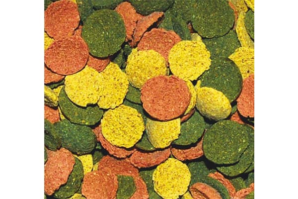 Dajana Wafer Discs mix - Bodentabletten 100 ml – Bild 2