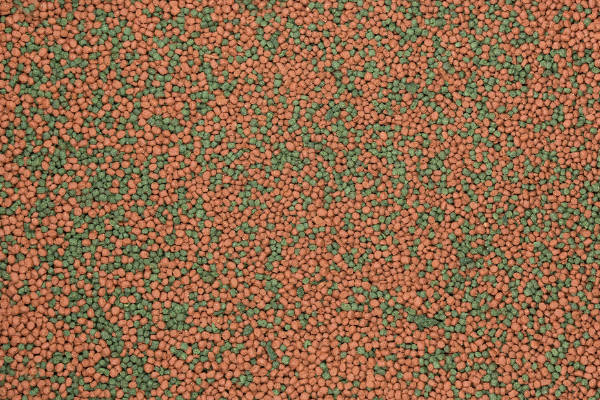 Dajana BASIC Tropical Granulat – Bild 2