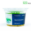 Eleocharis parvula – Bild 2