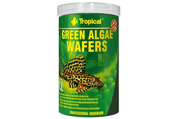 Green Algae Wafers - Pflanzenfutter in Tablettenform