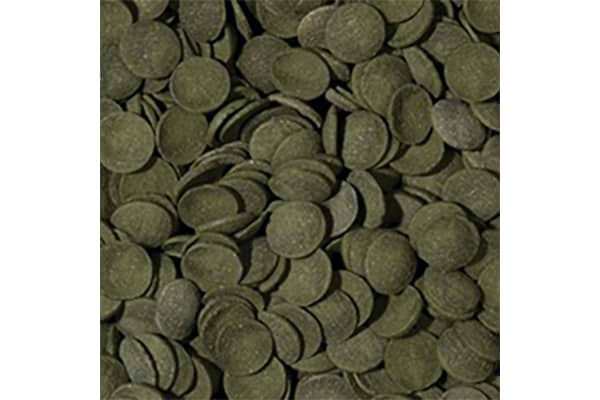 Green Algae Wafers - Pflanzenfutter in Tablettenform – Bild 2