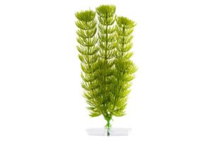 JK Aquariumpflanze Anacharis Kunststoff 18-21cm