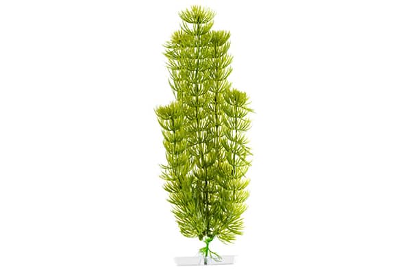 JK Aquariumpflanze Anacharis Kunststoff  25-28cm