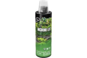 Plants Green - flüssiger Volldünger für Pflanzen