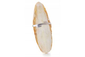 JK Sepiaschale  20-22 cm