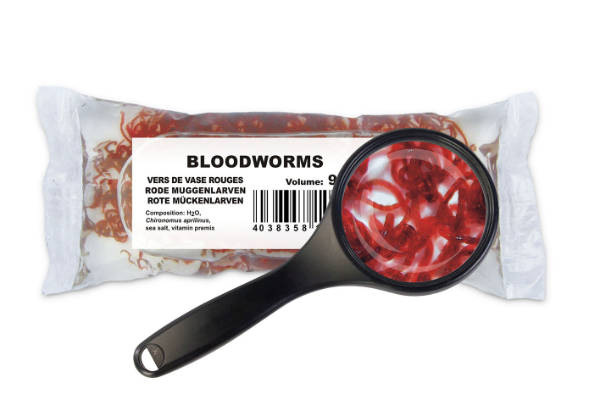 Rote Mückenlarven -Chironomus aprilinus 45 ml